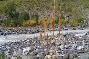 mount-paradise-terskol__0_terr_06